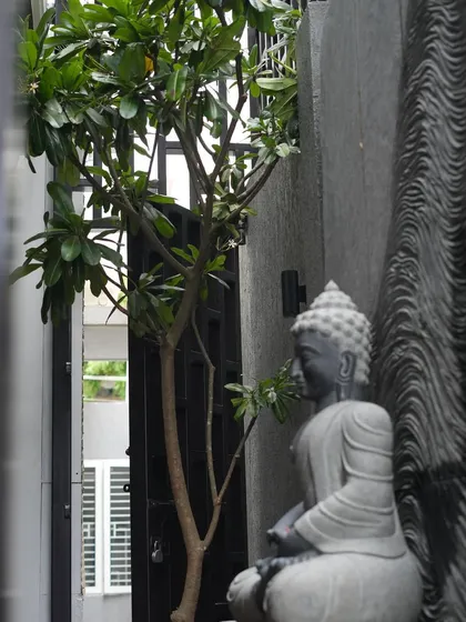 A stone Buddha statue is placed thoughtfully in a narrow passage next to a Frangipani tree, transforming a simple walkway into a path for reflection.