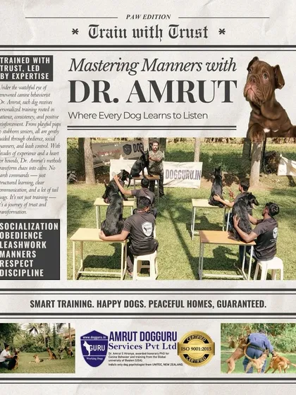 This is my philosophy in one picture: Train with Trust, Led by Expertise. My program is not about harsh commands; it's a journey of socialization, obedience, leash manners, respect, and discipline. We build a foundation for a peaceful home.