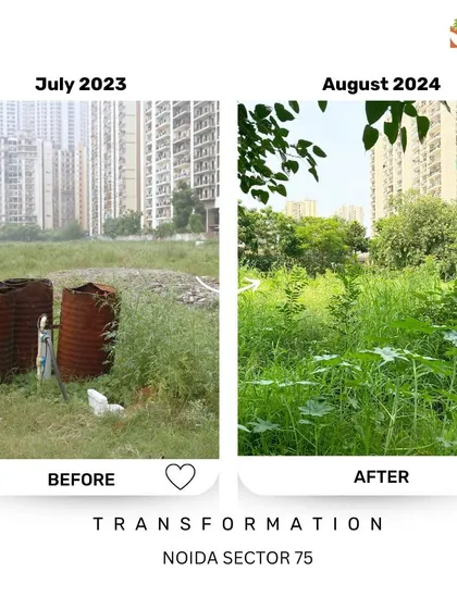 The transformation at Noida Sector 75 in just one year. We cleared away rusted debris and started the greening process. This is the first step in reclaiming urban wastelands for nature.