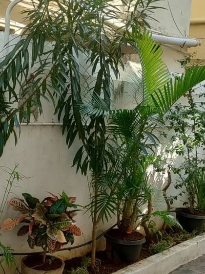 Artificial Lawns & Ground Landscaping photo 5