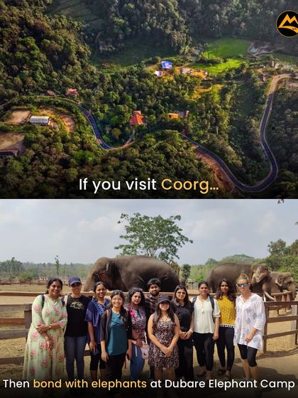 Bonding with elephants at Dubare Elephant Camp in Coorg. I include unique activities like this to make your group trip special.
