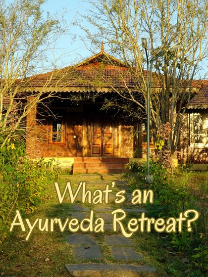Captions for these will be educational, explaining the Ayurvedic properties and uses of plants like Neem (Nimbi) and Amla (Amalaki), or detailing aspects of the Ayurveda retreats and courses as shown in the images.