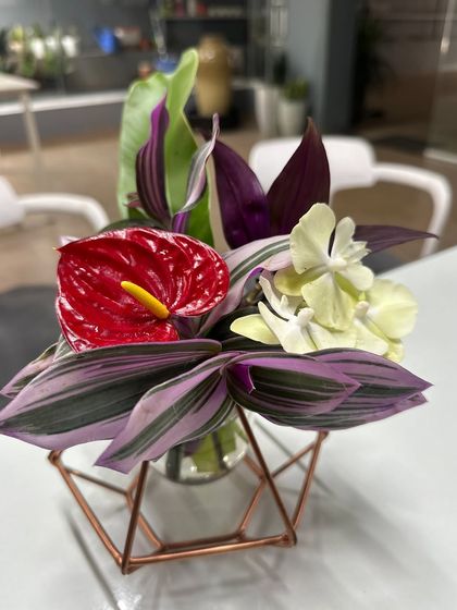 Ratnashri Landscapers - Specialty Garden & Plant Installations Water Features & Garden Decor photo 9