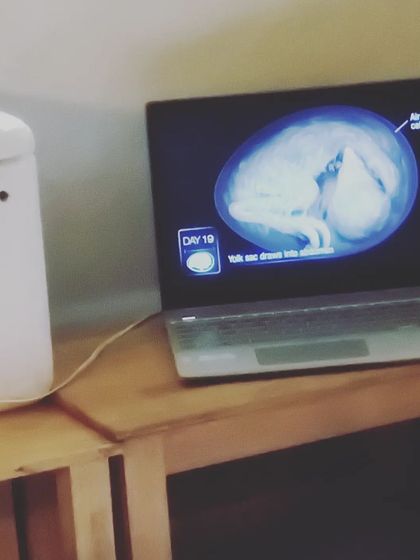 The Earth School - Montessori Primary & Elementary Program Hands-On Science & Nature Study photo 23