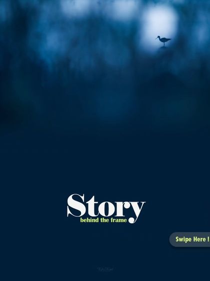 The Art of the Shot: Composition & Creativity photo 3