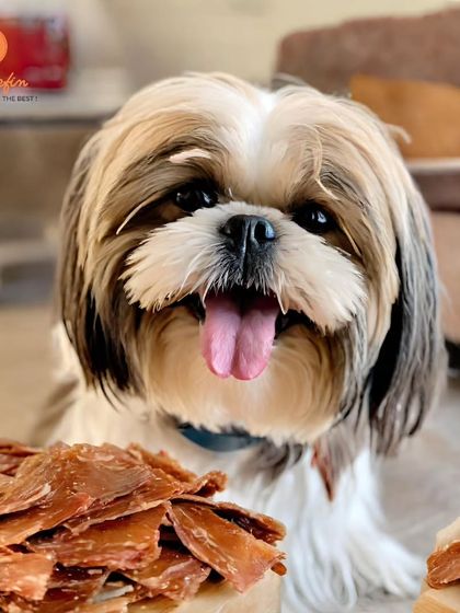 Our air-dried chicken jerky is the perfect royal treat for a Shih Tzu. It's packed with lean protein for strong muscles and has a satisfying crunch that helps keep their teeth clean.