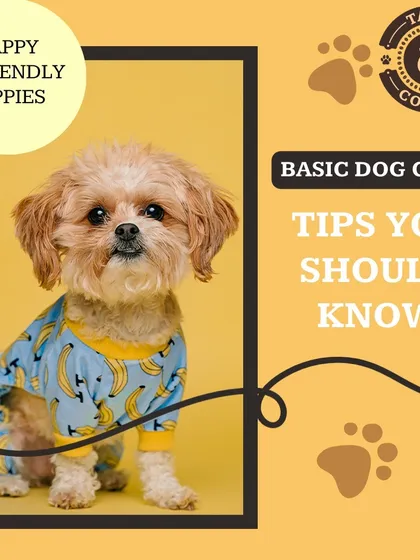 Here are some basic dog care tips every pet parent should know. This graphic covers the importance of regular exercise, grooming, and the health benefits of neutering and spaying.