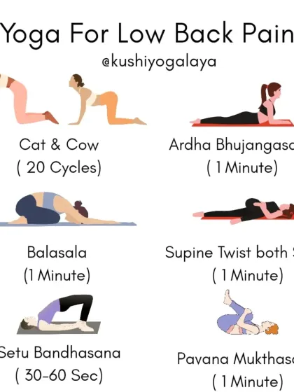 Rohit N - Therapeutic Yoga for Health Concerns Yoga for a Strong Back & Pain Relief photo 3