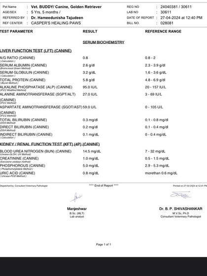 PL Paws - Animal Rescue & Rehabilitation How Your Donations Help: Our Medical Cases photo 5
