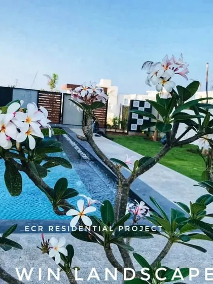 We create serene, luxurious escapes right at your home. This poolside garden at an ECR residence features beautiful Plumeria trees, a lush lawn, and carefully selected plants that complement the modern architecture and create a resort-like feel.