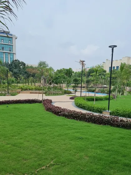 A wide view of a public park we designed, with curving pathways, open lawns, and a mix of trees and shrubs. The layout encourages strolling and relaxation, creating a green lung within the urban environment.