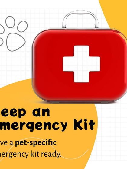 Pethowz - Pet Parent Education Emergency Preparedness for Pet Owners photo 3