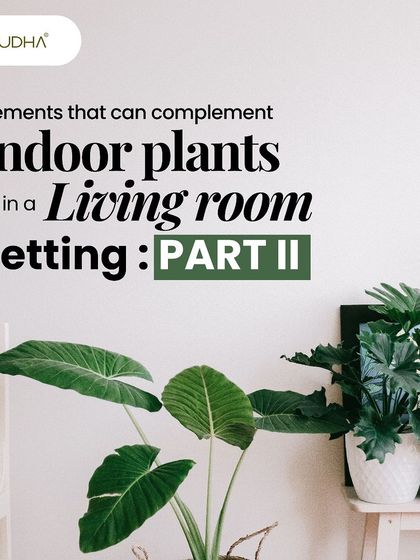 Paudha - Commercial Biophilic & Interior Design Signature Design Elements photo 15