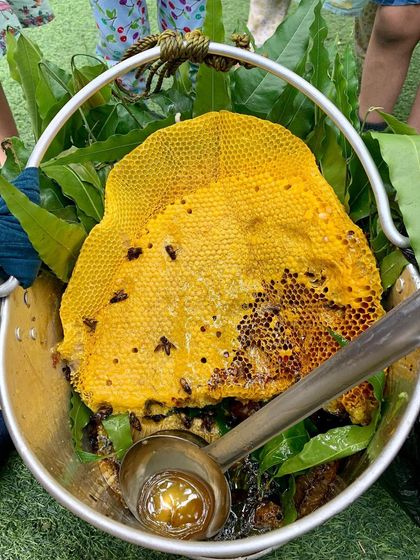 Papagoya - Play-Based Education Programs The Papagoya Kindergarten (Ages 3-6) photo 8