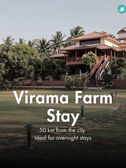 The Pack - Pet-Friendly Adventures & Meetups Pet-Parent Resources: Guides & Tips photo 20