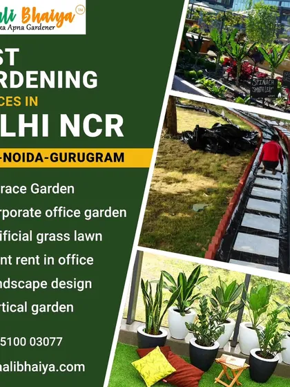 I offer a complete range of gardening services to make your space greener. This includes everything from terrace and office gardens to artificial lawns and vertical gardens, all available across Delhi, Noida, and Gurugram.
