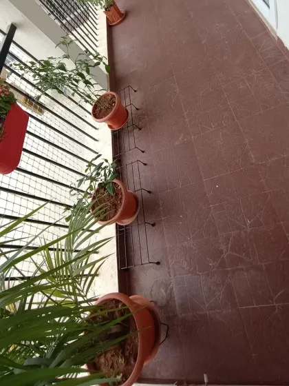 A to Z Gardening - Artificial Grass Installation Balcony & Terrace Makeovers photo 5