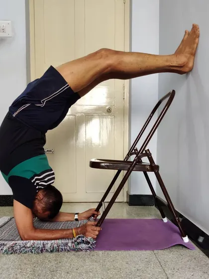 Preparing for Pincha Mayurasana (Forearm Stand) using a chair and wall. The chair provides a target for the feet, helping to build the strength and confidence needed for the full inversion.