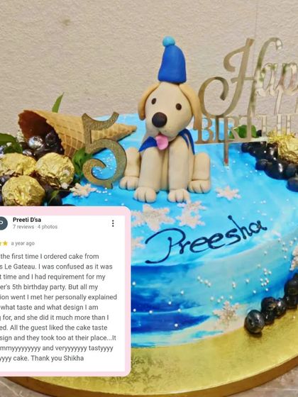 Shikha's Le Gateau - Custom & Celebration Cakes Kids' Birthday Adventures photo 27