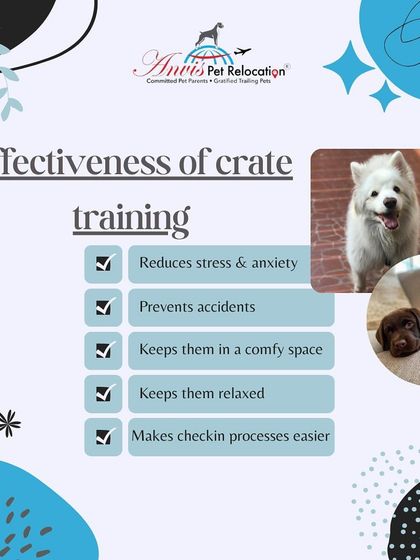 Anvis - Pet Relocation Preparing for Travel: Health, Safety & Documentation photo 31