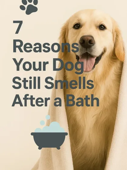 Mamppi Deb - Therapeutic Skin & Coat Treatments Essential Care: Beyond the Haircut photo 5