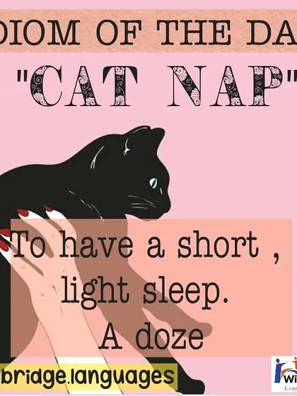A 'cat nap' is a short sleep. Understanding and using idioms like this can add color and fluency to your spoken English.