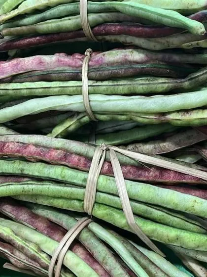 Bundles of fresh long beans, a mix of green and purple varieties. These are great for stir-fries or as a side dish, often cooked with fermented ingredients.
