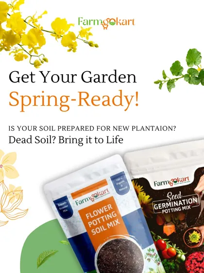 Get your garden spring-ready with my specialized soil mixes. Whether you need a flower potting mix or a seed germination mix, I have a ready-to-use solution to bring your soil to life.