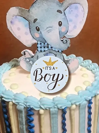 No themed party is complete without a matching cake. This "It's a Boy" cake is topped with an adorable, hand-drawn style elephant, perfectly tying into the overall theme of the baby shower.