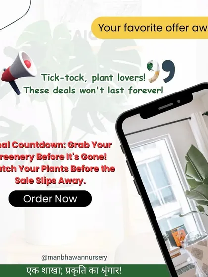 Tick-tock, plant lovers. Our sale is in its final countdown. Don't miss out on these deals, grab your greenery before it's gone.