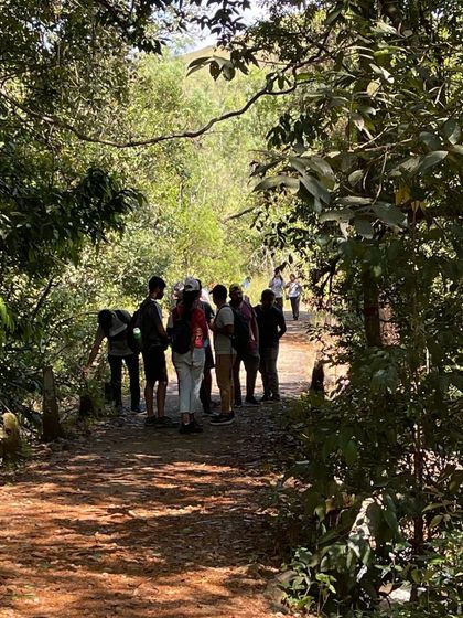 The group taking a break on the forest trail.