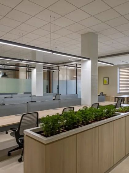 Another perspective of our biophilic office design, showing how plants are strategically placed to be visible from every desk, creating a refreshing and vibrant atmosphere.