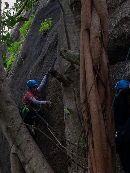 Climbers navigate the unique features of the rock at Athrani Gudda, surrounded by the beautiful roots of a banyan tree. Our workshops take place at some of the most scenic crags around Bangalore.