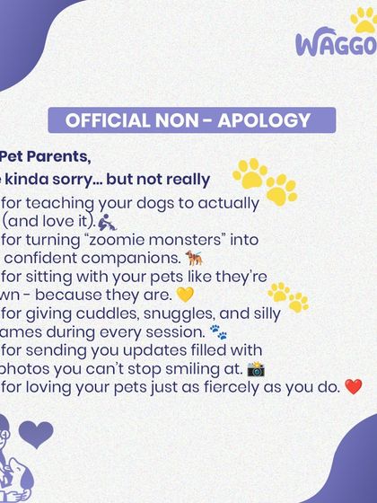 This is my official "non-apology" because I'm not sorry for loving your pets as if they were my own. I'm passionate about turning "zoomie monsters" into calm companions and sending you cute photo updates. This is the heart of what I do.