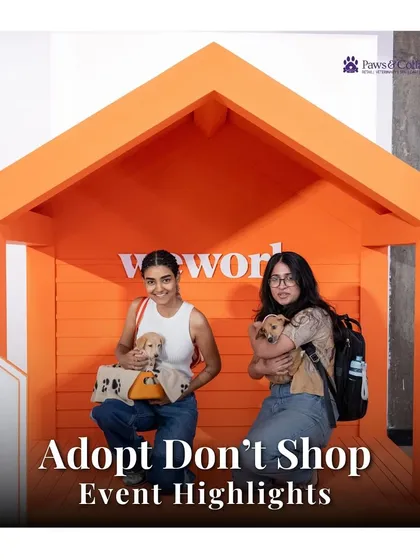 We are passionate about building a compassionate community. Our "Adopt Don't Shop" events, held in partnership with local shelters, are at the heart of our mission to help every deserving animal find a loving forever home.