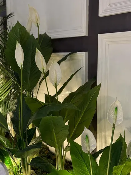 A close-up of the artificial Peace Lilies used in the installation. We select high-quality faux plants that look incredibly realistic, ensuring lasting beauty without any maintenance.