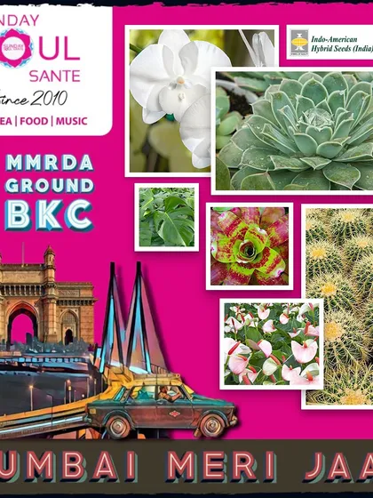 Mumbai, here we come! This event poster for Sunday Soul Sante features a collage of our offerings, including beautiful succulents and cacti, ready for a new city.