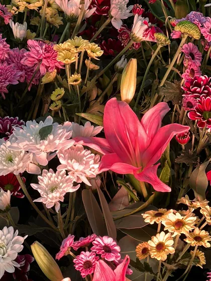 A 'Phoolon Ki Holi' is the most joyful way to celebrate Haldi. This close up shows the beautiful mix of fresh, colorful flower petals ready to be showered on the happy couple.