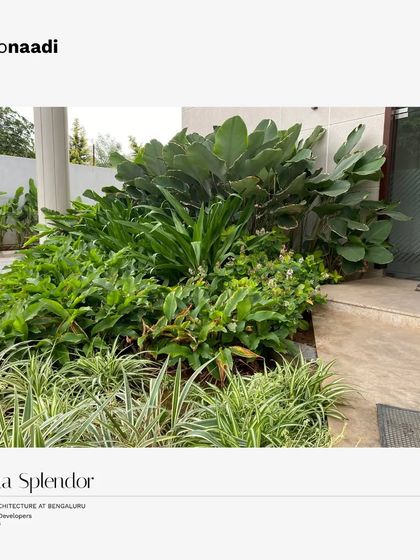 Layered tropical vegetation at the entrance of a building in Saritha Splendor. This biophilic design approach softens the architecture and creates a welcoming, natural threshold.