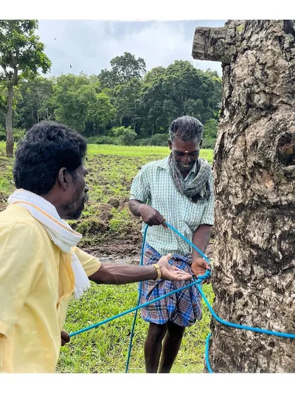 A honey harvester practices tying knots with a modern climbing rope. This knowledge exchange is at the heart of our social impact project.