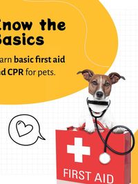 Pet Boarding & Sitting