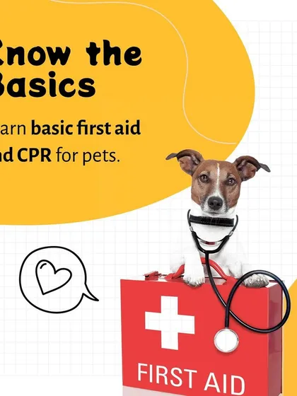 Your pet's safety is our top priority. All our hosts are trained in the essentials, including basic first aid and CPR for pets, ensuring they are prepared to handle any situation with calm and competence.