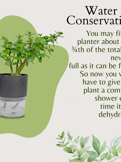 These planters also help with water conservation. You only need to fill the reservoir about half or three-quarters full, so you don't have to give your plant a complete shower every time it gets thirsty.