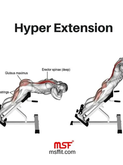 An infographic showing the muscles worked during a hyperextension.