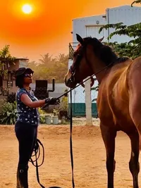 Equine-Assisted Corporate & Leadership Training
