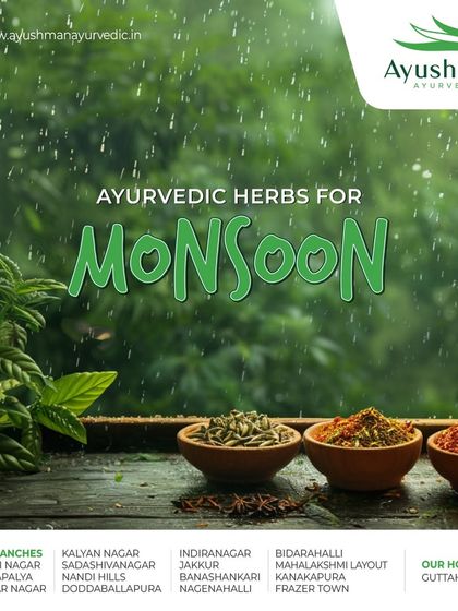 This image showcases the powerful Ayurvedic herbs we use to support your health during the monsoon. Herbs like Tulsi, Ginger, and Turmeric are excellent for boosting immunity and fighting seasonal ailments.