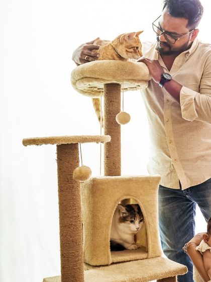 Pragalbh - Fine Art Pet Photography Feline Friends photo 7