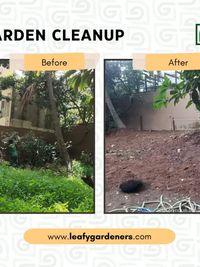 Garden Cleanup & Restoration