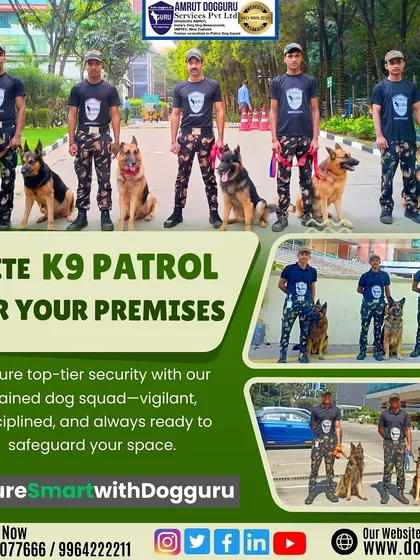 Our elite K9 patrol team stands ready for deployment. Each handler and their canine partner forms a disciplined unit, providing a visible and effective security presence for any premises.