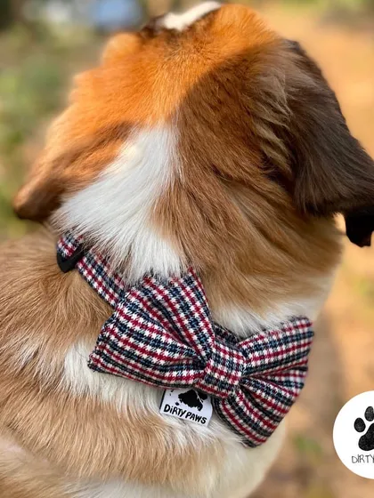 Our Plaid Checks Bow is a must-have for the winter season. It's detachable and adds a festive, dapper touch to any collar.